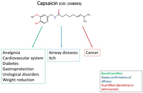 kapsaicyna i choroby