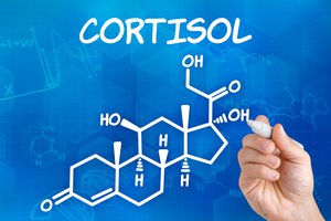 kortyzol-stres-i-odchudzanie