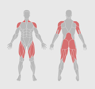mięśnie-ćwiczenia-fizjologia-rozciąganie całego ciała
