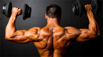 Objętość mięśni