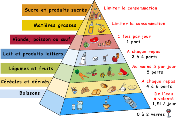 piramida żywieniowa dla zrównoważonej diety