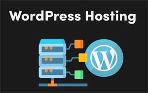 Specjalistyczny hosting WordPress
