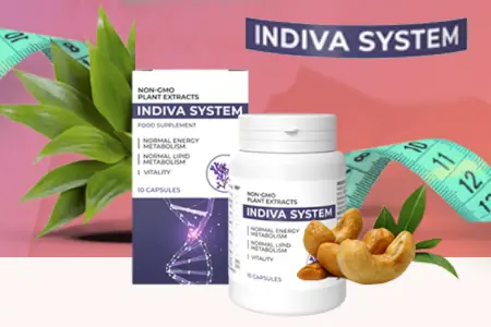 System InDiva